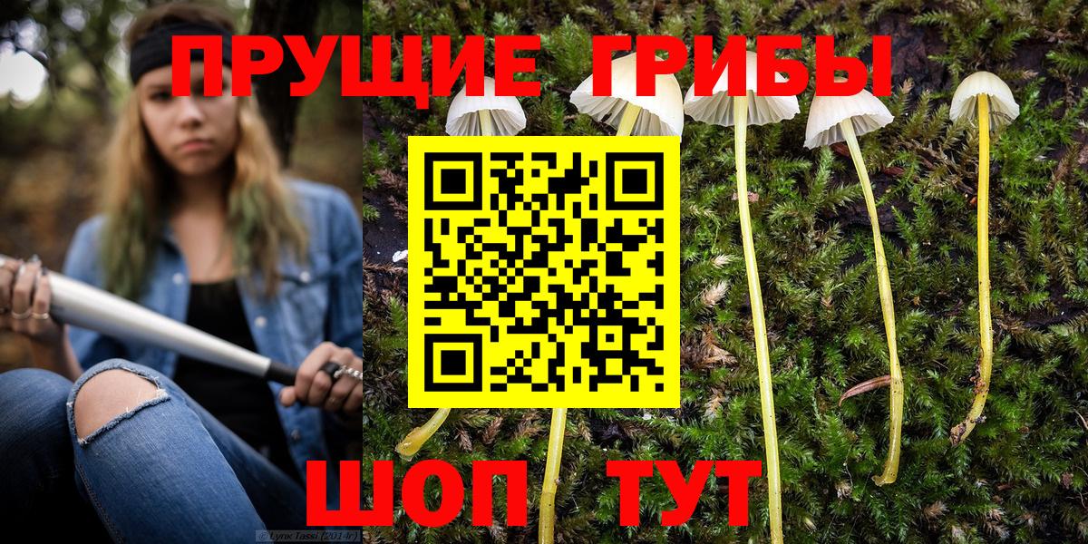 Галлюциногенные грибы GOLDEN TEACHER Лабытнанги